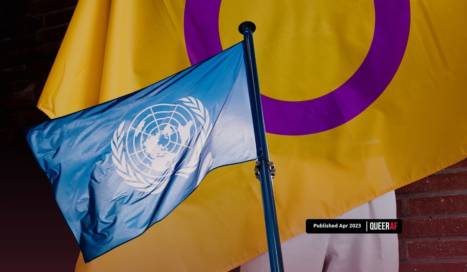 Why A Landmark Un Resolution About Intersex Peoples Lives Is So Important 7984